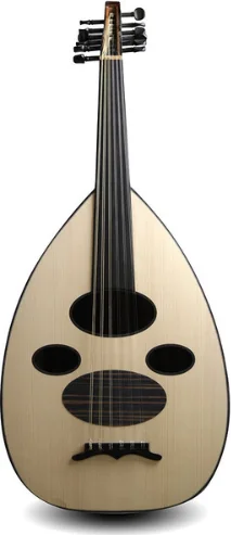 Oud Acoustique AN4