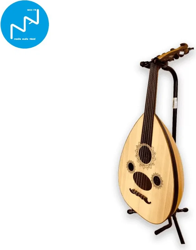 AOUD 4/4 PROFESSIONNEL 6 CORDES + ETUI TURK/ AOUD 6 CORDE TURK