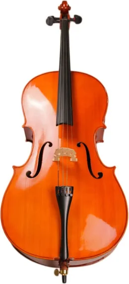 VIOLONCELLE 4/4 SCHUBERT MC6011 AVEC ARCHET COLOPHANE ET ETUI