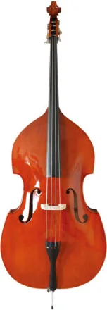 CONTREBASSE 4/4 SCHUBERT AVEC ARCHET ET ETUI