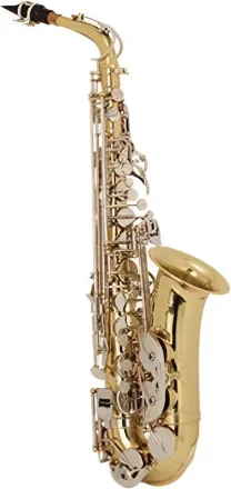 SAXO ALTO SCHUBERT M1105 AVEC VALISE