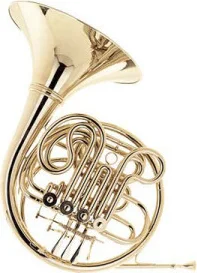 COR FRANCAIS SCHUBERT AVEC VALISE M3114