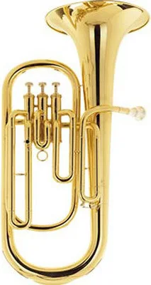 BARITONE SCHUBERT AVEC VALISE