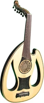 LUTH ELECTROACOUSTIQUE PRO SEMI CAISSE AVEC ETUI