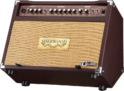 AMPLI COMBO SHERWOOD 30W POUR GUITARE ACOUSTIQUE CARLSBRO